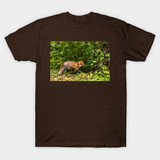 A pleasant encounter on Mount Olympus T-Shirt